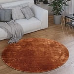 Paco Home Tapis Rond Salon Tapis Poil Ras Moderne Moelleux Lavable Monochrome, Dimension:120 cm Rond, Couleur:Cuivre