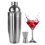 Shaker à cocktail en acier inoxydable de 750 ml