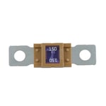 Säkring höglast Votronic® - 225A