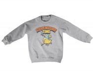 Hybris Adventure Time Kids Sweatshirt (HeatherGrey,7-8 år)