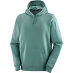 Men's Salomon Logo Pride Hoodie North Atlantic, XL