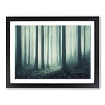 Feisty Forest H1022 Framed Print for Living Room Bedroom Home Office Décor, Wall Art Picture Ready to Hang, Black A2 Frame (64 x 46 cm)