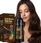 Dark Brown Hair Dye Shampoo, 500ML Hair Color Shampoo 3 in 1 for Grey Hair Beard