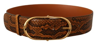 DOLCE & GABBANA Belt Brown Exotic Leather Gold Oval Buckle s.80cm / 3