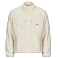 Veste Dickies  PINESDALE JACKET