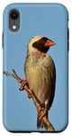 iPhone XR Red-Billed Quelea Bird Case