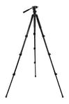 Celestron 82052 Regal Premium Tripod for Spotting Scopes, Binoculars, Cameras & Small Telescopes, Black