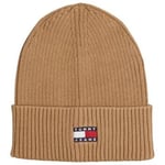 Bonnet Tommy Hilfiger  AM0AM13330