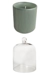 The Urban Gardener Scented Soy Candle & Glass Dome