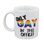 Only Gay in the Office Fun Mug XCMN335