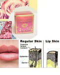 COLLAGEN LIP VOLUME CREAM 30 ml  Juicy and shaped lips in just a few weeks
