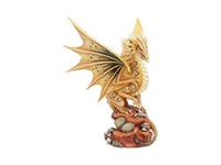 Nemesis Now Anne Stokes Figurine Adulte Dragon du désert Résine Jaune Taille Unique 24,5 cm