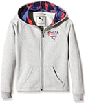 Puma Fun Sweat-TD Hooded Jacket Sweat-Shirt à Capuche pour Enfant Gris Light Gray Heather 04 8 años (128 cm)