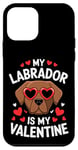 iPhone 12 mini Chocolate Labrador My Valentines Hearts Day Dog Mom Dad Case