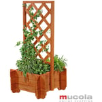 voûte de rose voûte plante pot pergola treillis aide porte de pot de fleur voûte porte en bois