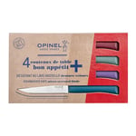 Coffret 4 couteaux de table Glam Opinel