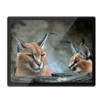 Placemat Mousemat 8x10 - Caracal African Lynx Cat  #3171