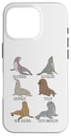 iPhone 16 Pro Different Type of Sea Lions Breed Collection,Cute Sea Lions Case