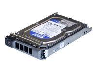 Origin Storage - Hårddisk - 2 Tb - Hot-Swap - Sata 1.5Gb/S - 7200 Rpm - För Dell Poweredge R410, R510 (3,5"), R710 (3,5"), T410 (3,5"), T610 (3,5"), T710 (3,5")