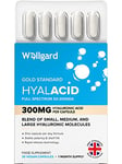 Wellgard Vegan Hyaluronic Acid Supplements, 50 to 3000 DA - Hyaluronic Acid Capsules, Made in UK