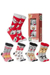 Tom & Jerry Mens Ankle Socks Pack Of 5 Comfortable Warm Casual Walking Footwear