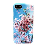 By Kris iPhone SE (2022)/SE (2020)/8/7 deksel Cherry blossom