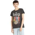 T-shirt Amplified  Sgt Pepper