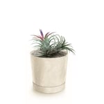 Botle Pot De Fleur Rond Creme En Plastique Beton Effect Cache Pot 10,9 Cm Decoratif Bac A Plantes Avec Soucoupe Fleurs