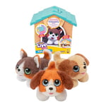 Little Live Pets- Jouet, LPP01310, Bleu