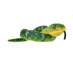 Emerald Tree Boa Corallus Canina Snakesss Wild Republic