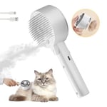 Brosse Chat Vapeur 4 en 1 Antistatique Peigne de Massage Spray pour Chats Multifonction Brosses de Toilettage pour Animaux Chats Chien pour Démêle et Elimine les Courts et Longs poils Nœuds et Lâches