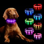 Light Up Dog Collar Rechargeable, LED Dog Collar Lights with 7 Colors Change 8 Lighting Modes Glow in the Dark, Adjustable Waterproof Flashing Collar for Small Medium Large Dog, Purple M