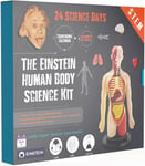 Einstein Human Body Science Kit Advent Calendar: 24 days of S.T.E.M science & 16