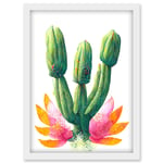 Colourful Cactus Plant In Flower Painting Artwork Framed Wall Art Print A4