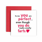 Huxters Anniversary Card – You are perfect although you fart Funny Card for Wife - Husband - Boyfriend - Girlfriend – 350GSM Valentines Day Card – Blank for Custom Message – 14.8cm (fart)