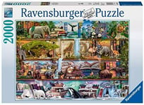 Aimee Stewart Amazing Animal Kingdom 2000 Piece Jigsaw Puzzle For Adults For Ki