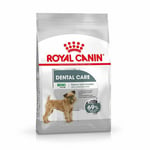 Royal Canin Mini Adult Dental Care Dry Dog Food - 3kg