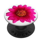 Hot Pink Gerber Daisy Flower Phone Grip Petal Bloom White PopSockets PopGrip Adhésif