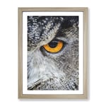 Eye Of An Owl Painting Modern Framed Wall Art Print, Ready to Hang Picture for Living Room Bedroom Home Office Décor, Oak A3 (34 x 46 cm)