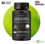 Shilajit Sea Moss and Lion’s Mane - 60 Caps 800MG  | Energy, Immunity, Brain