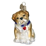 Old World Christmas Ornaments: Dog Collection Glass Blown Ornaments for Christmas Tree, Bull Pup