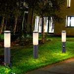 Path light lampadaire d'extérieur anthracite lampadaire avec détecteur de mouvement luminaire de jardin en acier inoxydable, E27, DxH 12,7x45 cm, lot