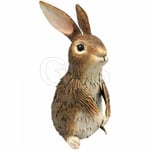 Gift Ideas for the Garden, Metal Inquisitive Brown Rabbit - PQ1244