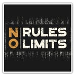 2 x Square Stickers 7.5 cm - No Rules No Limits Gym Workout Cool Gift #14647