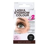 Depend Lash & Eyebrow Colour Black