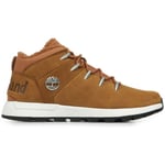 Baskets Timberland  Sprint Trekker Mid Lace Sneaker