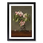 Big Box Art Apple Blossom Flowers by Martin Johnson Heade Framed Wall Art Picture Print Ready to Hang, Black A2 (62 x 45 cm)