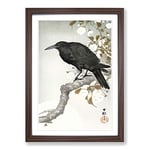 Big Box Art A Crow on The Blossom Tree by Ohara Koson Framed Wall Art Picture Print Ready to Hang, Walnut A2 (62 x 45 cm)