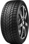 Delinte Winter WD6 155/80R13 79T