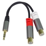 PremiumCord HQ - Répartiteur de câble jack 3,5 mm vers 2 RCA - Fiche jack stéréo vers RCA femelle RCA - Casque auxiliaire audio - Blindé - Connecteurs métalliques - Couleur : noir - M/F - Longueur :